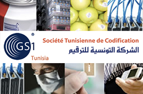 GSI Tunisia