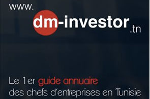 dm investor 4 17