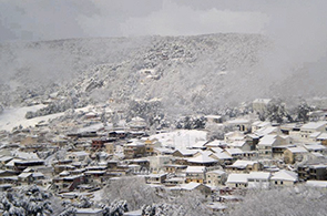 Ain-Draham-sous-la-neige