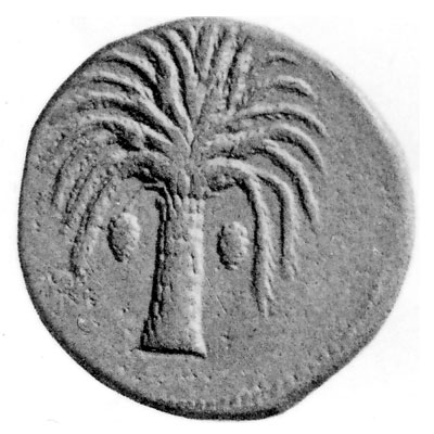 piece monnaie carthaginoise 8 19