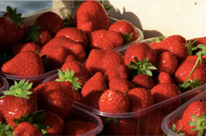 fraises 4 11