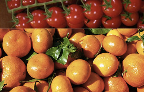 Tomates-Oranges-Banniere