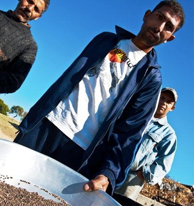 Agriculteurs-tunisiens