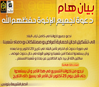 ansar2