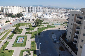 Les Palmeraies à Ain Zaghouan