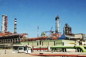 Champs de pétrole