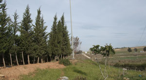 Développement régional en Tunisie