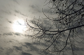 Meteo Vent