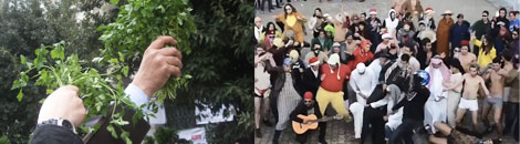 Harlem Shake Tunisie