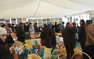 Festival des agrumes Hammamet 2014