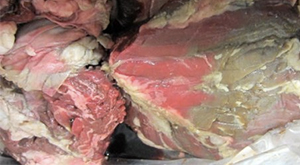 Viande avariee