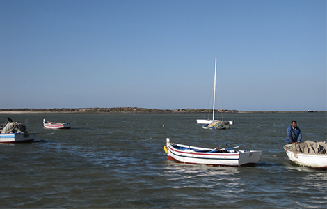 Ilot-Dzira-a-Djerba-Banniere