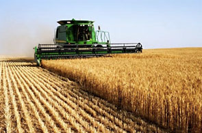 agriculture 10 10