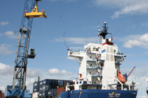 croissance 8 20