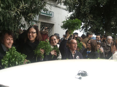 Persil de la liberté en Tunisie