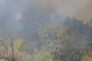 incendie 5 13 2