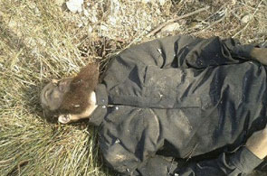 jihadiste mort 5 20