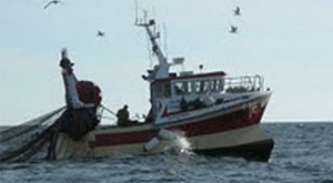 bateau 13 3