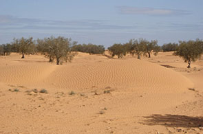 Sécheresse