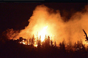 Incendie-Parc-Ennahli