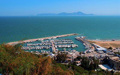 Port-Sidi-Bou-Said-vue-en-haut