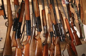 fusils chasse 11 14