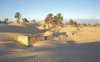 Tunisie-desertification