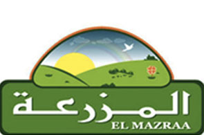 el mazraa 1 2