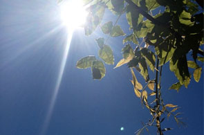 meteo soleil 3 16