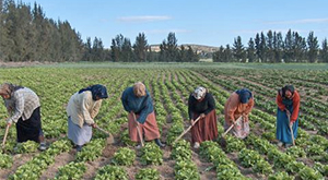 Agricultrices