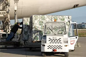 Aide-tunisienne-pour-Gaza