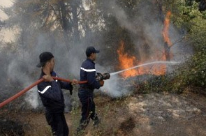 Incendie-foret