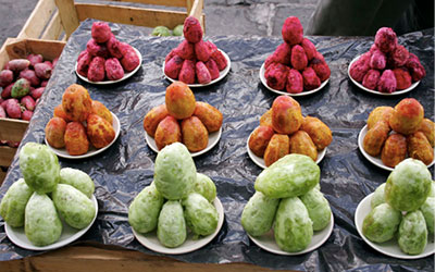 Figues-de-Barbarie