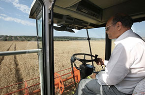 Marzouki-Beja
