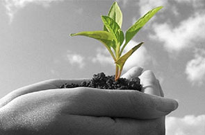 Microprojets